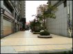 邊間/超大面寬/面公園 邊間/超大面寬/面公園