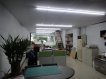 大學校區/店面出租/辦公 大學校區/店面出租/辦公