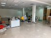 面寬11米/雙店面出租 面寬11米/雙店面出租
