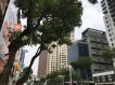 藝文特區優質黃金店面 藝文特區優質黃金店面
