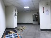 大樓合法建物 大樓合法建物