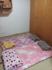 北平/天津精美樓中樓3房 北平/天津精美樓中樓3房