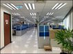 標準廠辦/附空調/貨梯/保全 標準廠辦/附空調/貨梯/保全