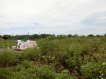 臨新竹竹北省道旁可長租建加農 臨新竹竹北省道旁可長租建加農