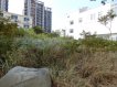 臨生醫園區面寬漂亮超平價土地 臨生醫園區面寬漂亮超平價土地