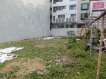 十,安興雙明星學區漂亮建地 十,安興雙明星學區漂亮建地