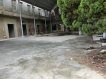 近昌益園區優質超平價廠房