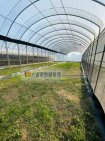 溫室種植、花果培養網室便宜租 溫室種植、花果培養網室便宜租