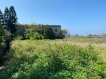 ☆竹一鄉道上漂亮農地☆ ☆竹一鄉道上漂亮農地☆